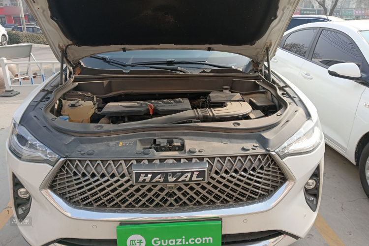 Haval F7x 2020 #22 Haval F7x 2020 car image #22