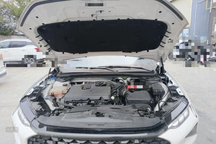 Ford Evos 2021 immagine di auto #22