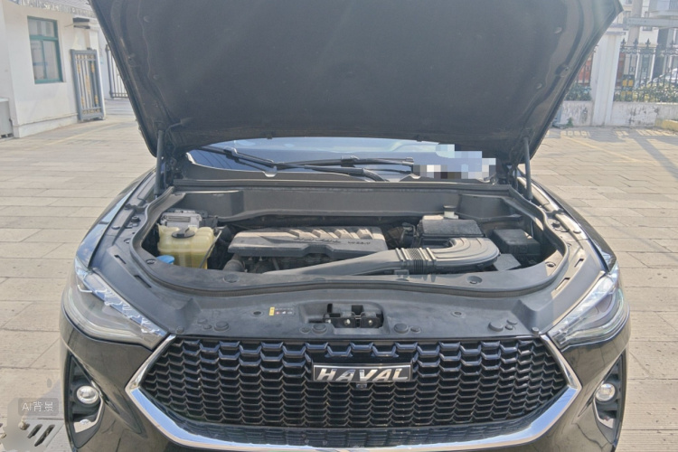 Haval F7 2019 car image #22