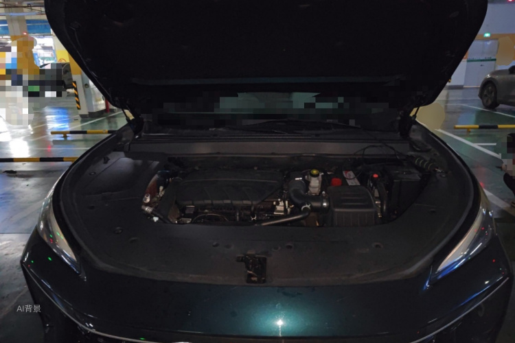 Forthing T5 EVO 2022 #22 Forthing T5 EVO 2022 car image #22