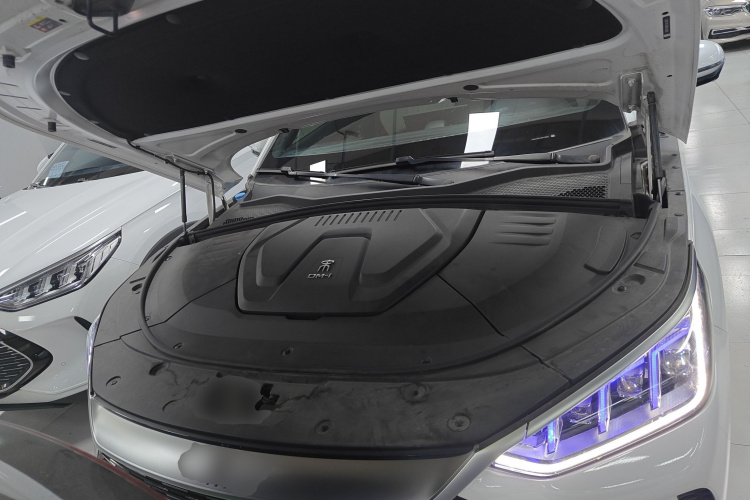 BYD Song Plus New Energy 2022 #22 BYD Song Plus New Energy 2022 car image #22