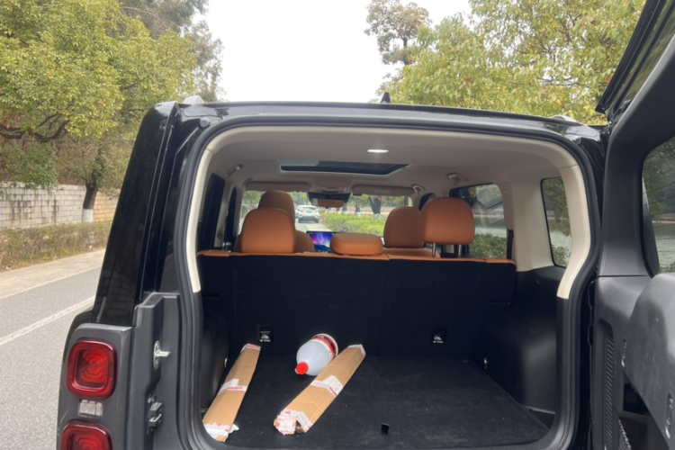 Haval Raptor New Energy 2023 car image #22