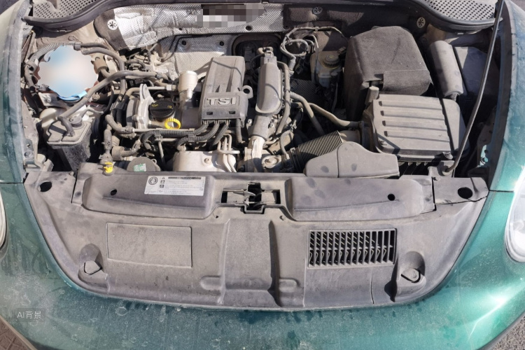 Volkswagen Beetle 2015 immagine di auto #22