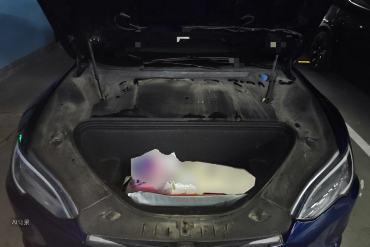 特斯拉 Model S 2019 汽车图片 #22