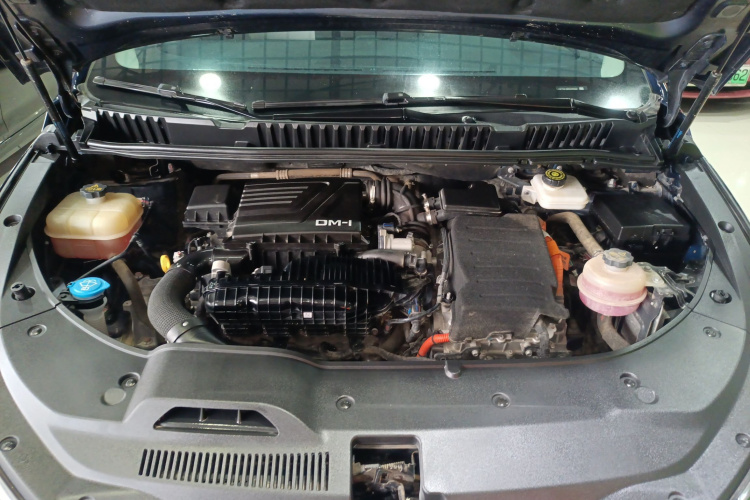 BYD Song MAX New Energy 2022 immagine di auto #22