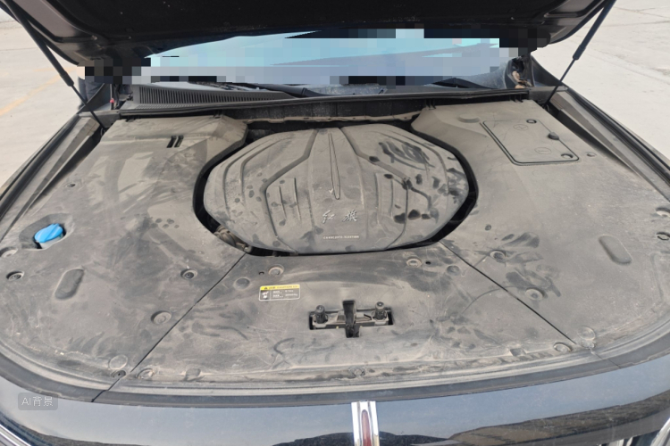 HongQi H9 2021 car image #22