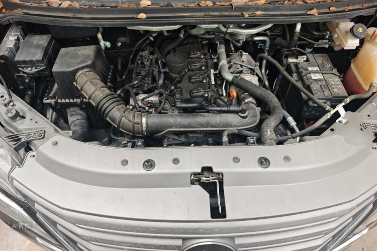 Forthing Lingzhi 2024 car image #22