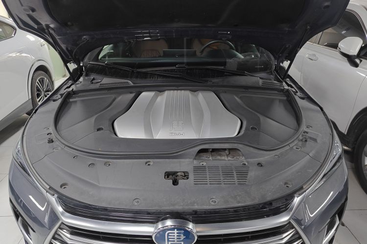 BYD Tang New Energy 2022 car image #22