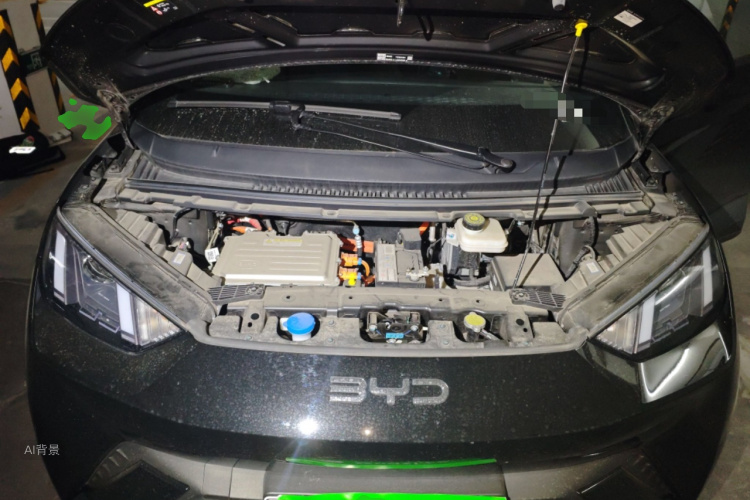 BYD Seagull 2024 imagen de coche #22