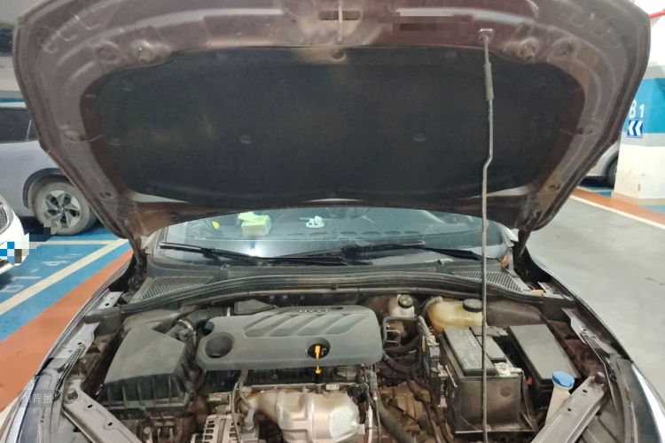5 2022 #22 5 2022 car image #22