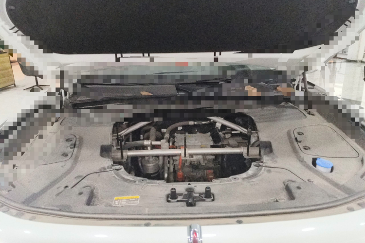 HongQi E-HS9 2023 car image #22