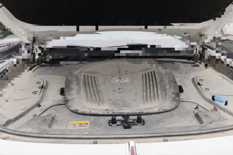 HongQi E-HS9 2023 imagem de carro #22