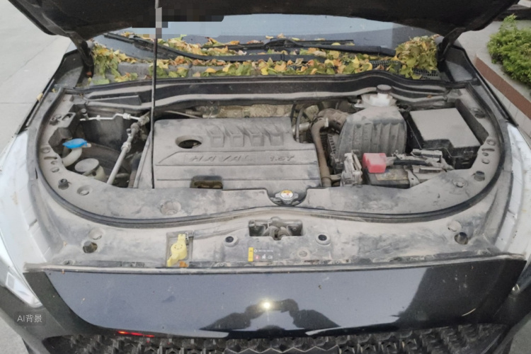 Haval M6 2020 car image #22