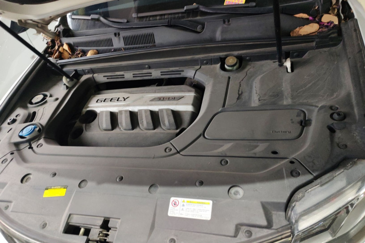 GEELY Boyue 2018 immagine di auto #22