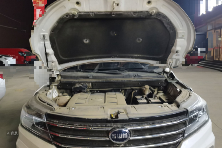 SWM X3 2018 imagen de coche #22