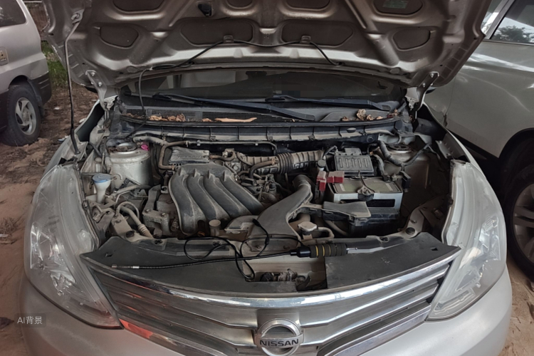 日产 骊威 2014 汽车图片 #22