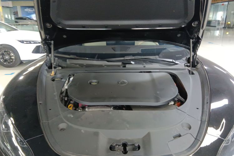 Denza Z9 2024 immagine di auto #22