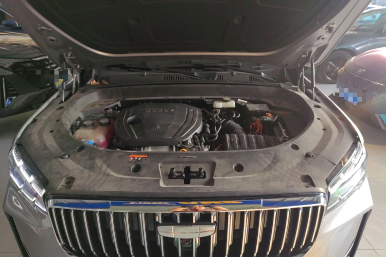 GEELY Monjaro 2024 car image #22