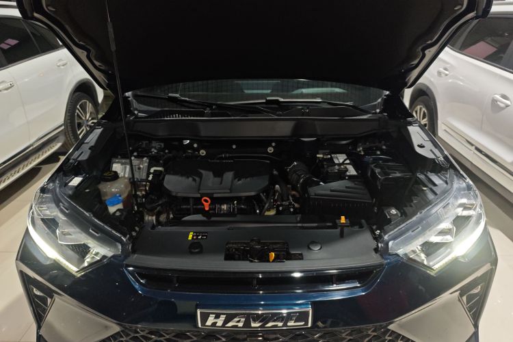 Haval H6S 2022 immagine di auto #22