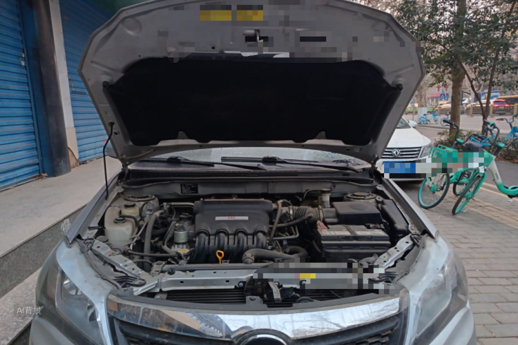 BYD F3 2016 car image #22