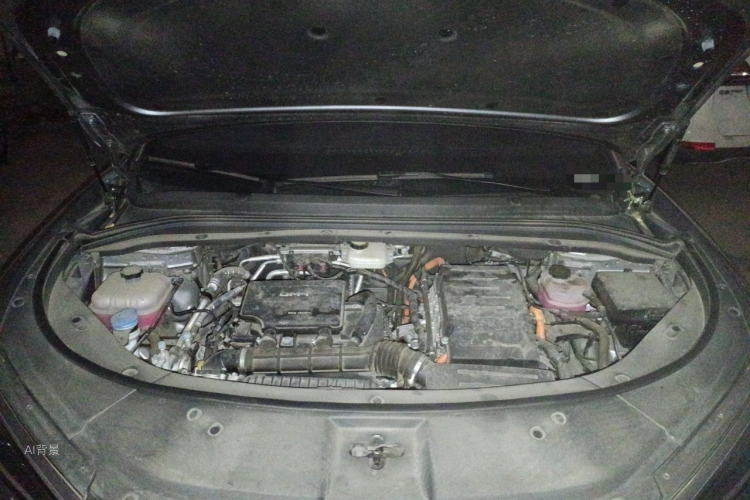 BYD SongL DM-i 2024 car image #22