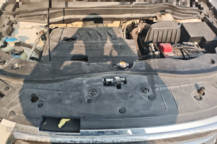 Haval H6 2019 #22 Haval H6 2019 car image #22