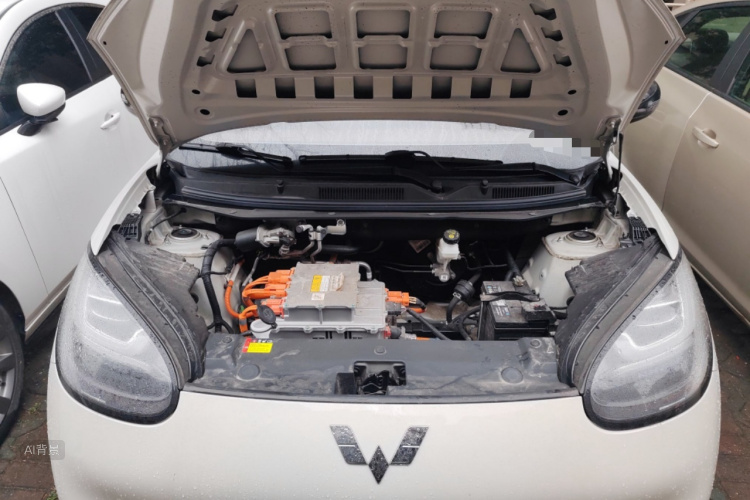 五菱汽车 五菱缤果 2023 汽车图片 #22