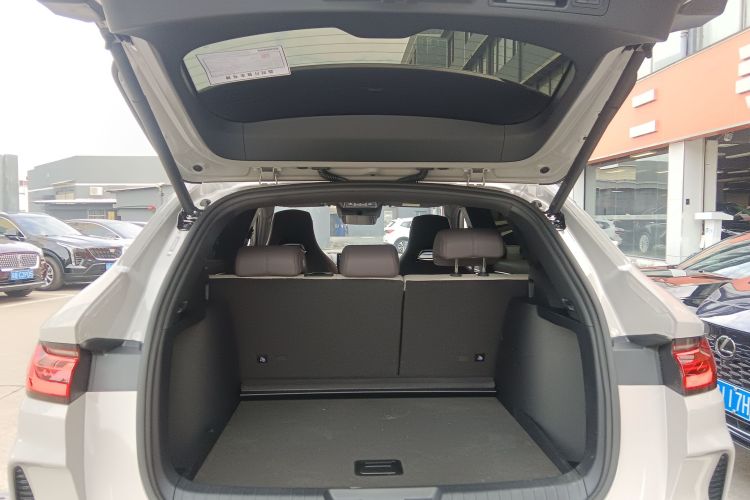 BYD Song Plus New Energy 2025 #22 BYD Song Plus New Energy 2025 car image #22