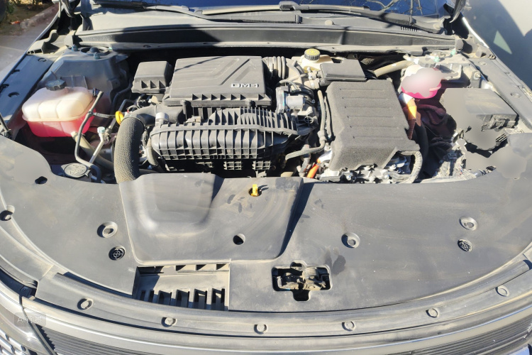 BYD Destroyer 05 2024 imagem de carro #22