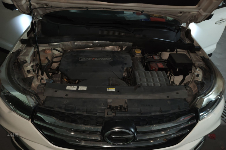 GAC Trumpchi GS4 2016 car image #22