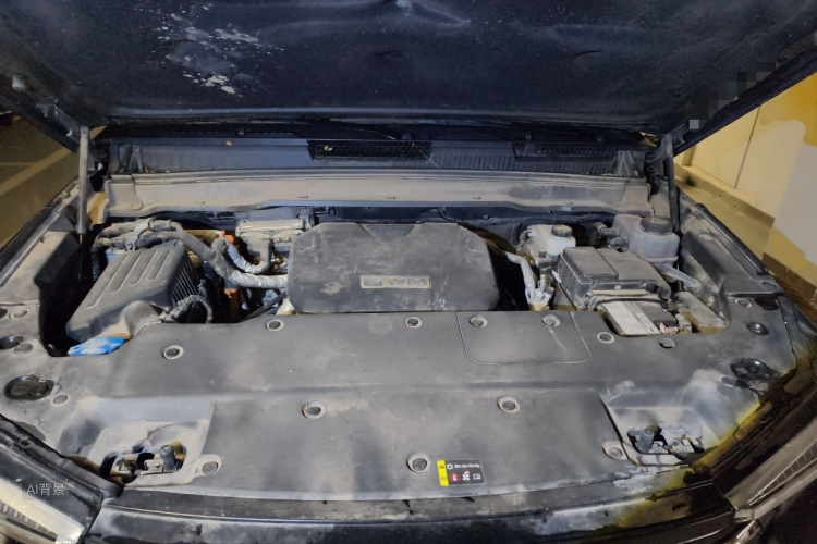 Tank 400 New Energy 2023 car image #22