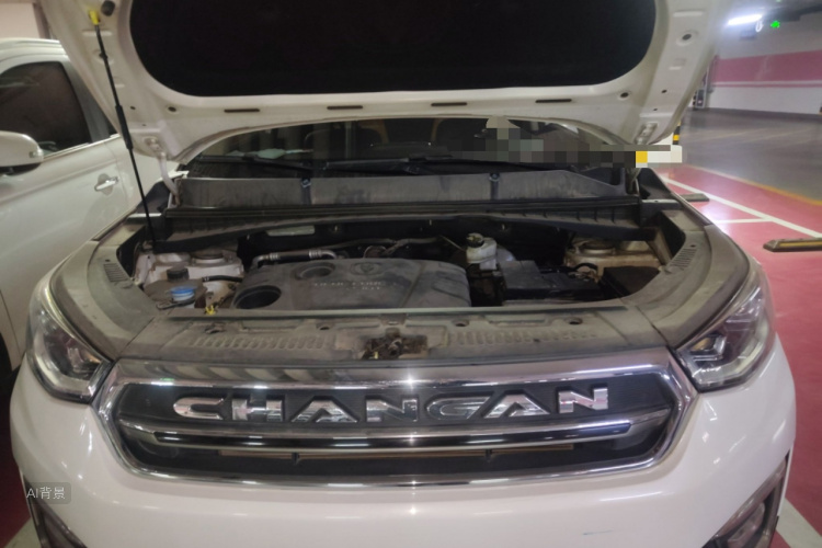 Changan CS55 2017 car image #22