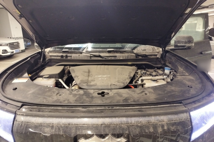 FangChengBao Leopard 8 2024 car image #22