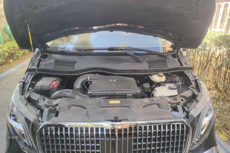 Mercedes-Benz Vito 2022 car image #22