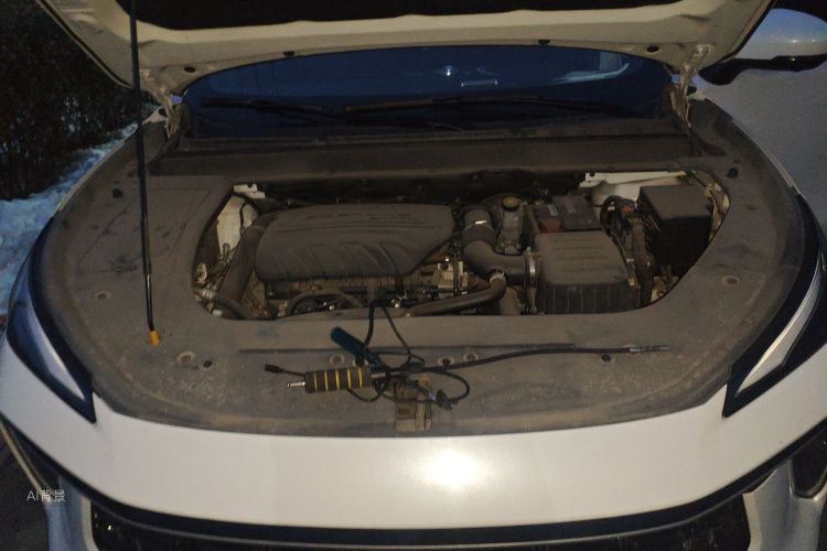 Forthing T5 EVO 2021 immagine di auto #22