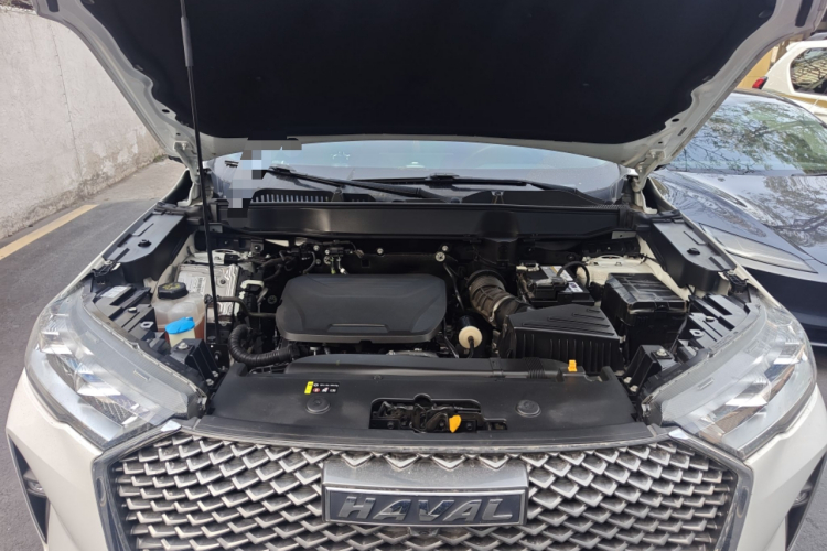 Haval H6 2023 car image #22