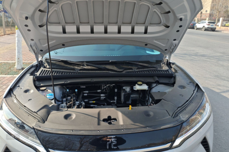 BYD YuanUP 2025 car image #22