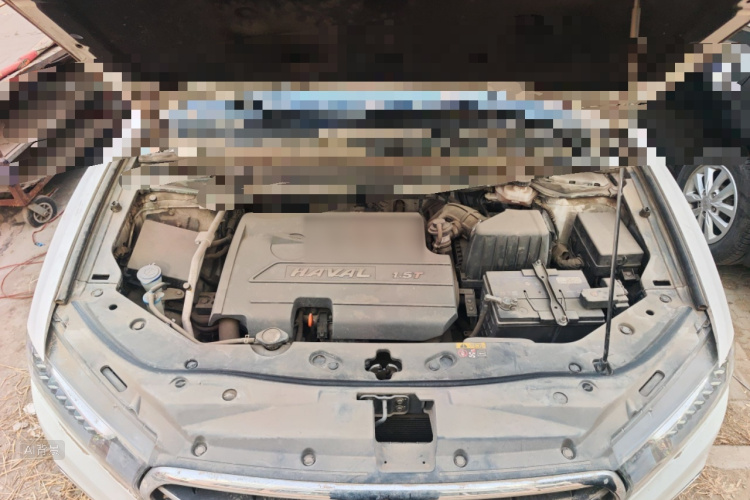 Haval H6 Coupe 2016 car image #22