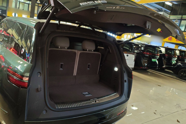 Denza N9 2025 car image #22