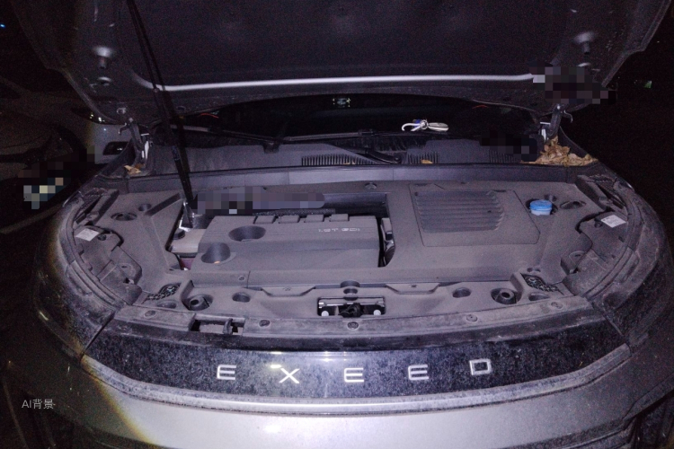 Exceed Lingyun 2024 صورة سيارة #22
