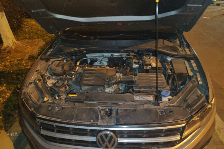 大众 宝来 2019 汽车图片 #22