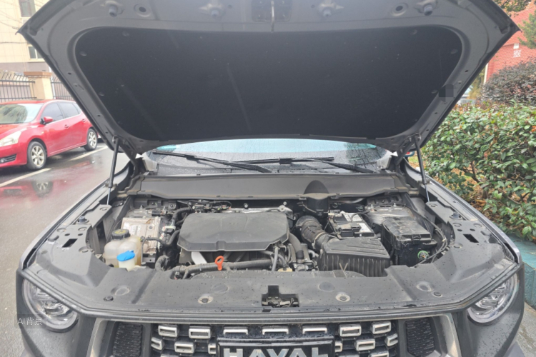 Haval Dargo 2 2023 car image #22