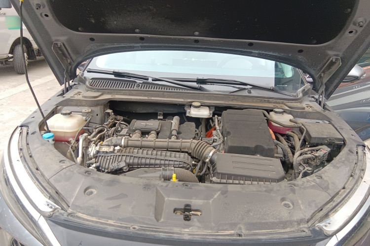 BYD Qin L 2024 car image #22