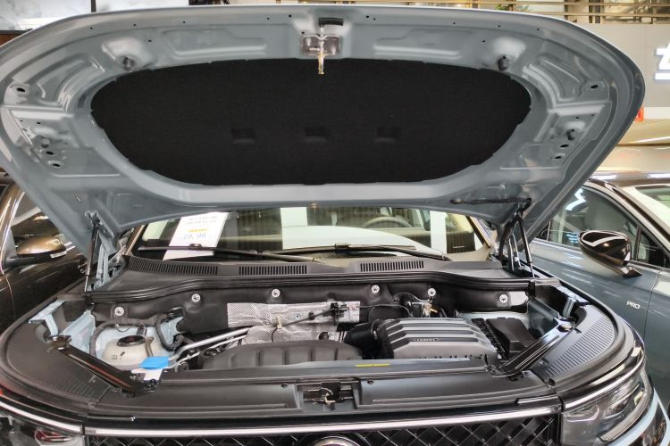 Volkswagen Tavendor 2023 car image #22