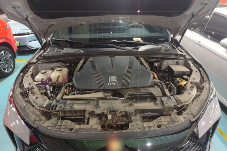 BYD Tang New Energy 2025 car image #22