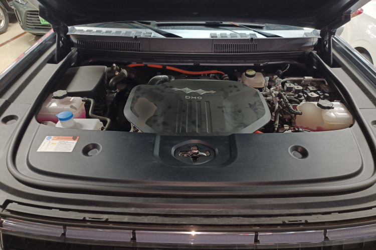 FangChengBao Leopard 5 2023 car image #22