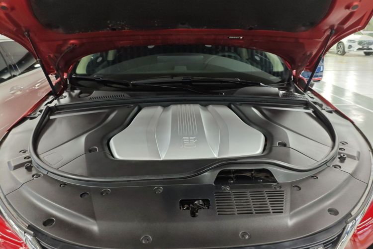 BYD Tang New Energy 2019 car image #22