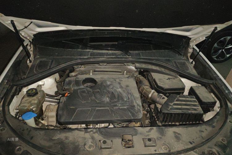 Haval H7 2021 car image #22