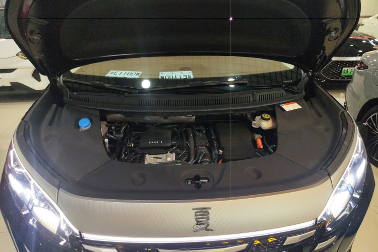 BYD Xia 2024 imagen de coche #22