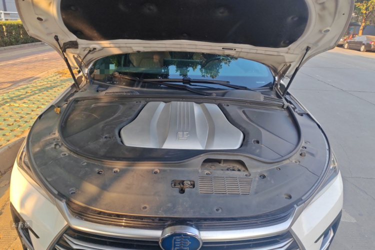 BYD Tang New Energy 2020 car image #22